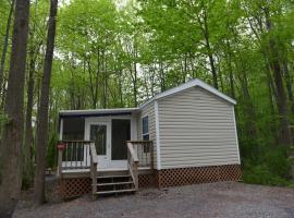 Appalachian Camping Resort Park Model 2，位于Shartlesville的酒店