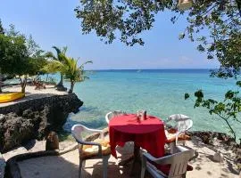 莫奥尔船T微风沿海度假简单