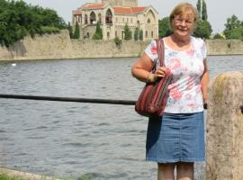 Viktoria hotel，位于布达佩斯的酒店