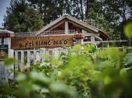le p'ti blanc des "o"，位于萨拉济的酒店