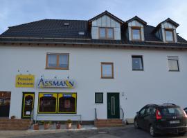 阿斯曼膳食公寓，位于兰根布鲁克的旅馆