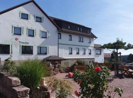 Landhotel Traube，位于Seewald的酒店
