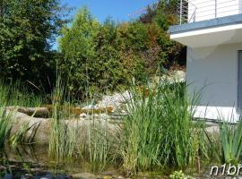 N1 Standalone House Baden，位于Nussbaumen的酒店