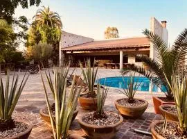 María & Bernardo Casa - Viñedo