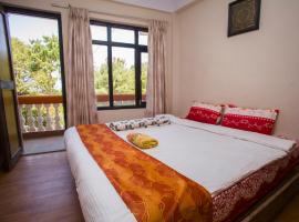 Langtang View Nagarkot Bed and Breakfast，位于纳加阔特的酒店
