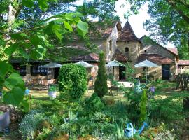 Auberge de Castel-Merle，位于Sergeac的酒店