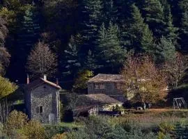 Domaine Des Blaches