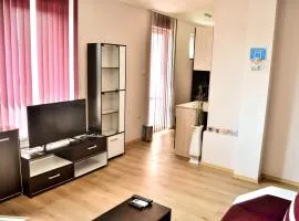 Central Apartment