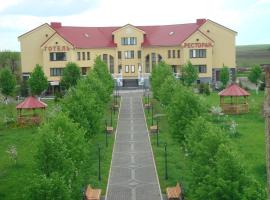 Hotel - restaurant "Lion's heart"，位于Velyka Omelyana的带泳池的酒店