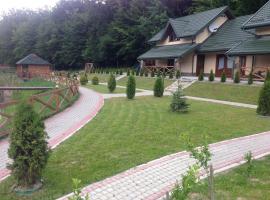 Поляна Купіль，位于Polyana的酒店