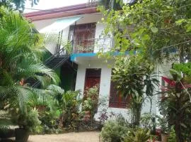 Green Garden Homestay