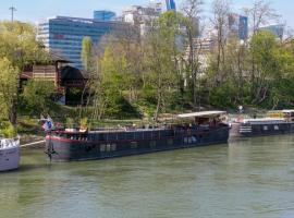 Grande p&eacute;niche 4 ch - 10 pers -Paris - Ile de Puteaux- terrasses，位于皮托的带泳池的酒店