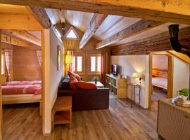 Appartement sous les combles - Chalet La Biolle - Vercorin，位于韦尔科兰马杰山滑雪缆车附近的酒店