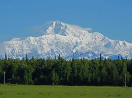 McKinley View B&B，位于Trapper Creek的住宿加早餐旅馆