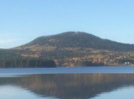 Villa gruddbo，位于Soller&ouml;n的山林小屋