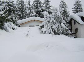 Cabañas Don Pepe，位于圣卡洛斯-德巴里洛切艾斯奇亚多雷滑雪缆车附近的酒店