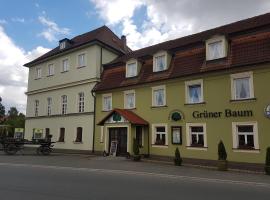 Traditionsgasthof Grüner Baum，位于巴特司塔福斯坦的酒店
