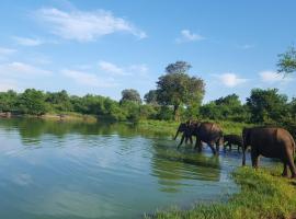 Kuma Safari Lodge，位于达瓦拉维乌得瓦拉维国家公园附近的酒店