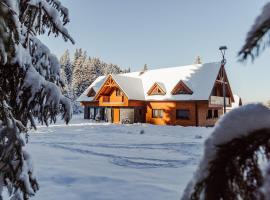 Villa Silvia，位于斯祖贝莱克的滑雪度假村