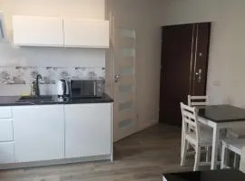 Apartament Centrum 2