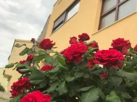 Apartman MIG