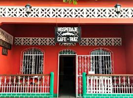 Hospedaje y Cafe Ruiz，位于格拉纳达的住宿加早餐旅馆