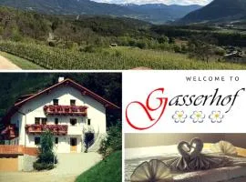 Gasserhof Aicha