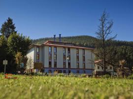 Hotel Balneario Areatza Nº 01224，位于阿瑞特扎的酒店