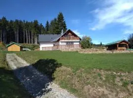 Javorník 88