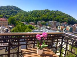 Petřín No. 1，位于卡罗维发利Goethe's Lookout Tower附近的酒店