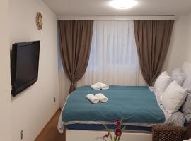 Dino，位于萨拉热窝的酒店