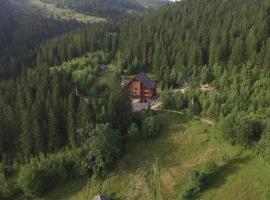 Karpatski Dzherela，位于亚列姆切的酒店