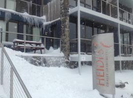 Snowstay at Heidi’s，位于Smiggin Holes的带停车场的酒店