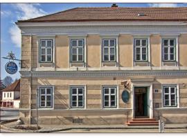 Gasthof Manhalter，位于Pitten的酒店