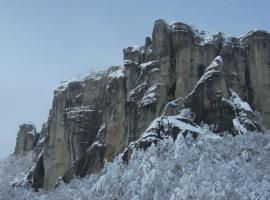 Albergo Miramonti，位于蒙蒂新堡的酒店