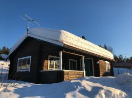 Vasa Ski Lodge，位于莫拉的木屋