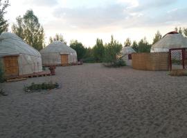 Yurt camp Tosor，位于Tosor的度假短租房