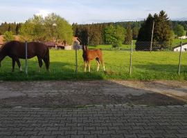 "Sous les Barres"，位于Montfaucon的酒店