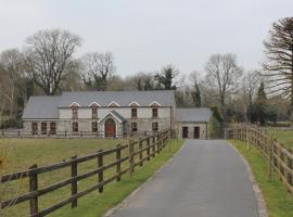 Moynure House Boutique B&B，位于阿斯隆Clonmacnois Church附近的酒店