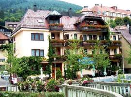 Hotel Restaurant Alte Linde，位于巴特维尔德巴德的酒店