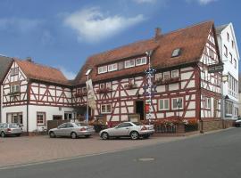 Gasthof-Landhotel-Metzgerei Zum Stern，位于Rüdenau的酒店