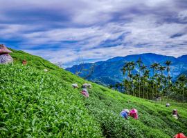 鹭露茶居，位于梅山乡的酒店