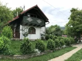 Cottage Shchaslyvyi