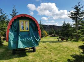 Clissmann Horse Caravans Glamping，位于拉斯德拉姆Sculpture in Woodland附近的酒店