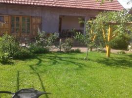 Latin，位于Plaški的酒店