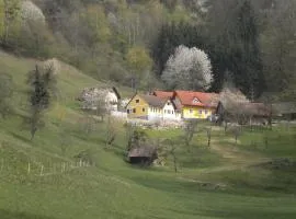 Buchschneider - Ferienhaus Maier - Landhof