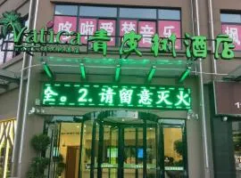 青皮树亳州谯城区国购观澜天下酒店