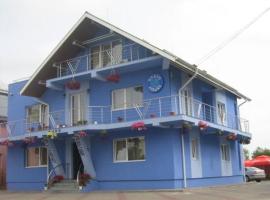 Pension David House，位于勒德乌齐的酒店