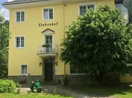 Hotel Lindenhof