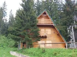 Chalet The Best View